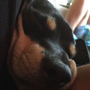 Meet your Posher, Jonathan